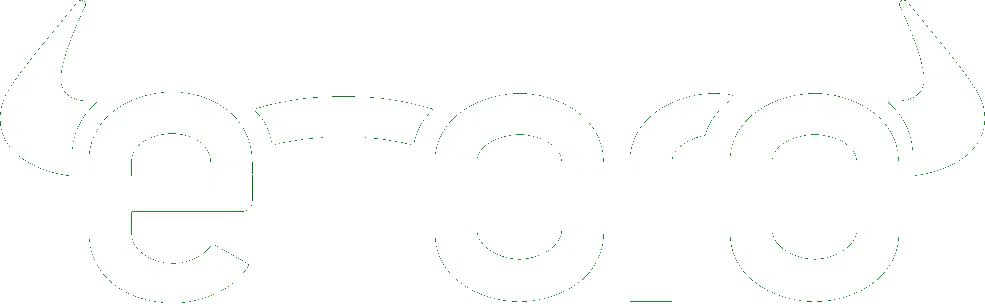 logo etoro blanc
