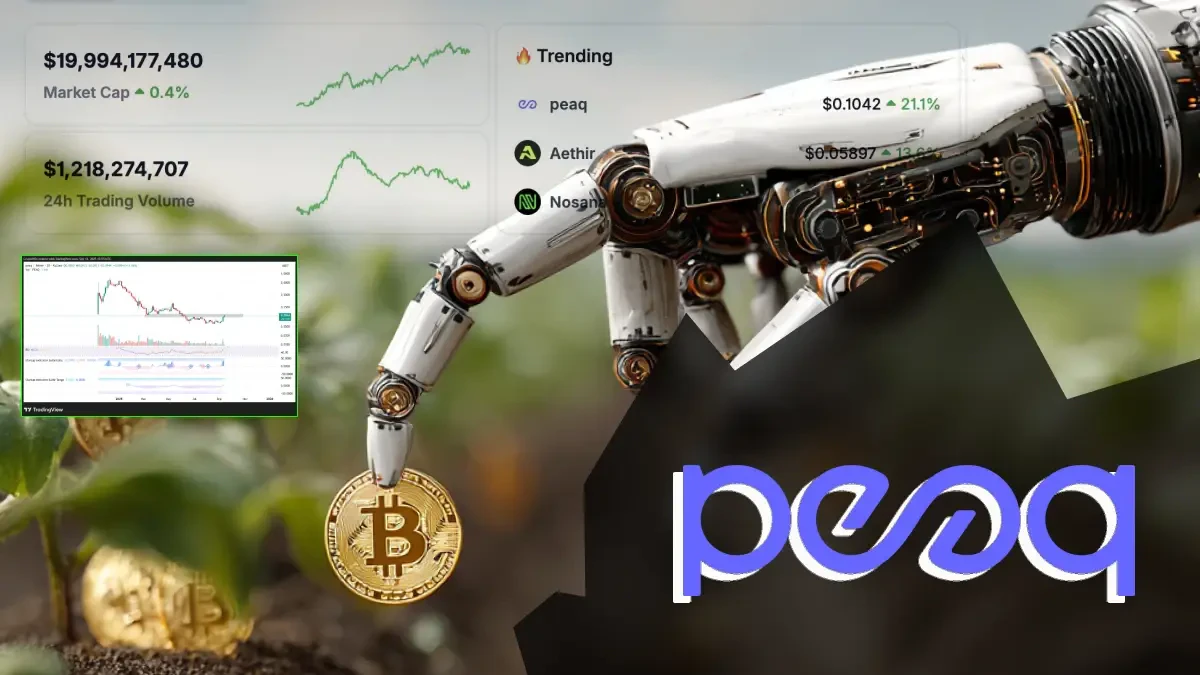 PEAQ