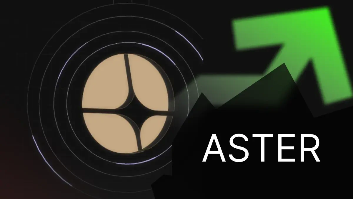 Aster Hausse