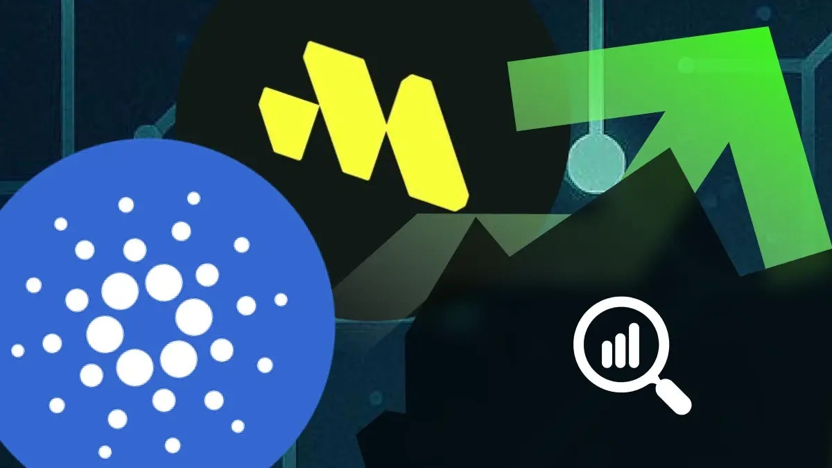 Cardano vs Remittix : où placer ses billes avant le prochain pump ?