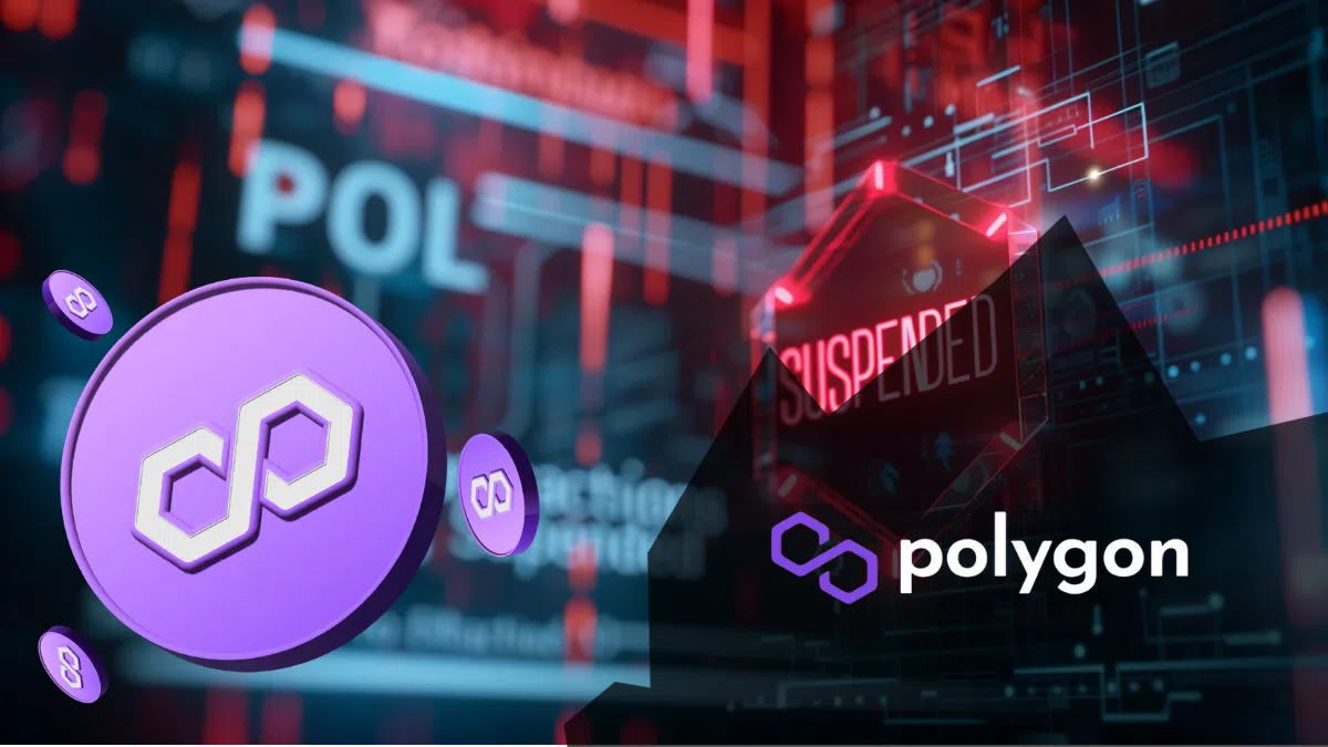 Polygon POL en pause