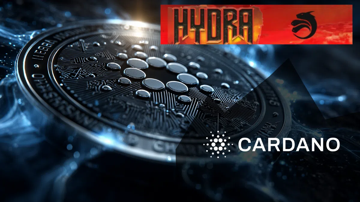 Mise à jour Cardano