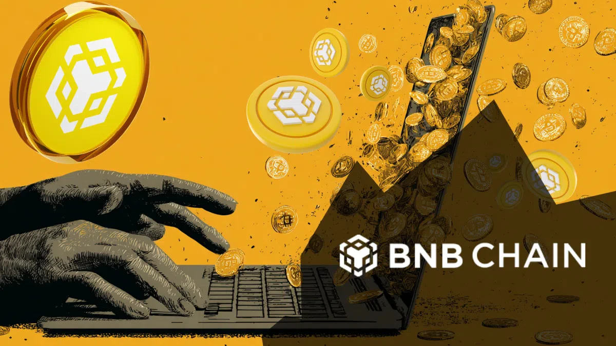 BNB explose après le krach
