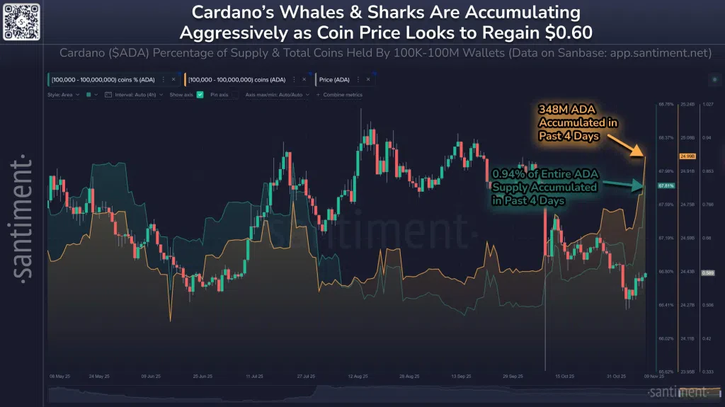 Les baleines reviennent sur Cardano