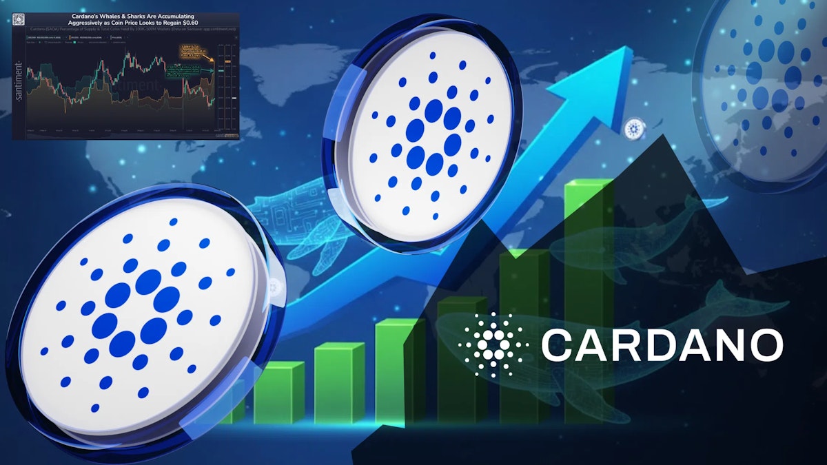 Les baleines reviennent sur Cardano : faut-il s'attendre à un rebond imminent ?