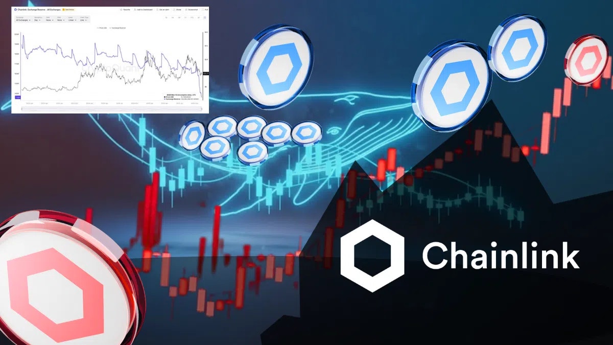 Pourquoi les baleines accumulent du LINK en pleine baisse du marché ?