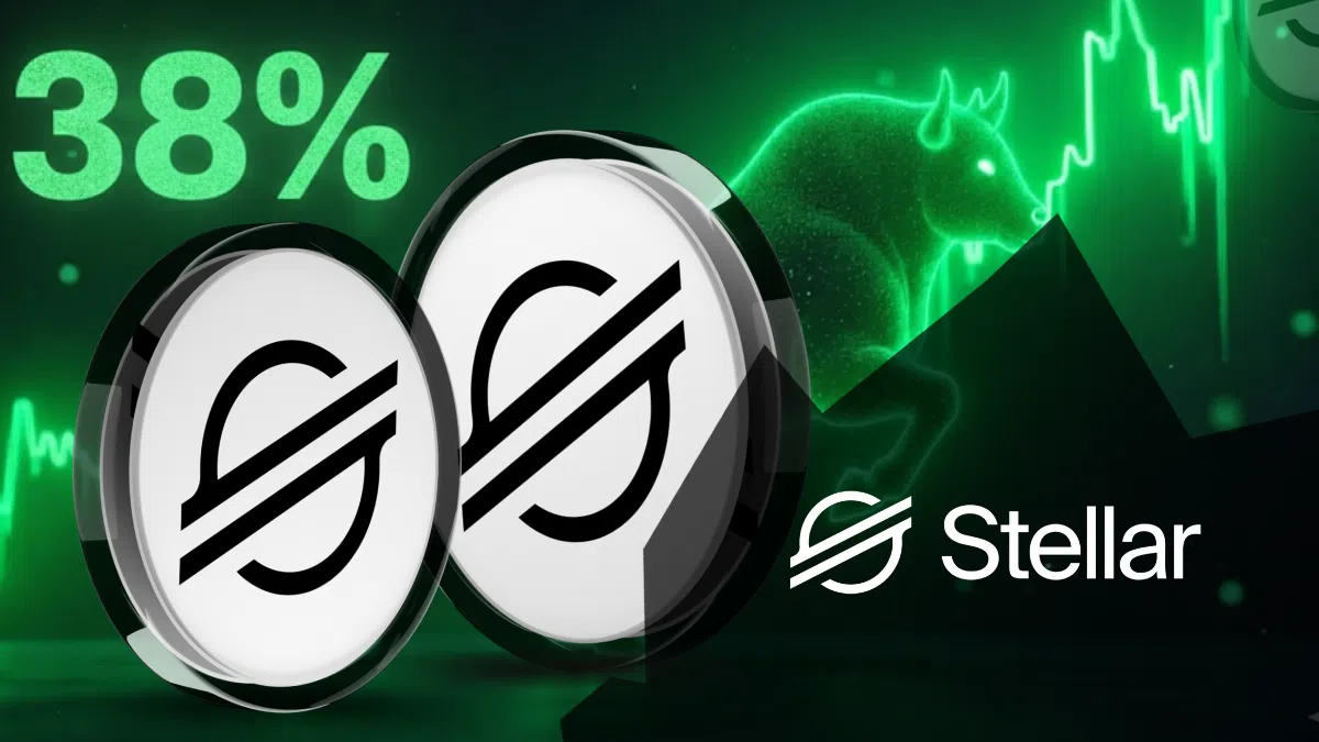 LM rebondit à 0,23 $