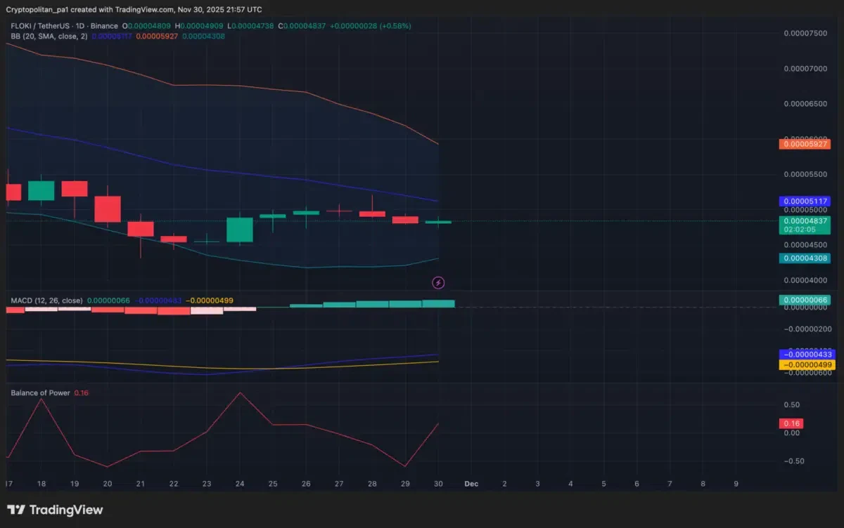 Graphique Daily Floki