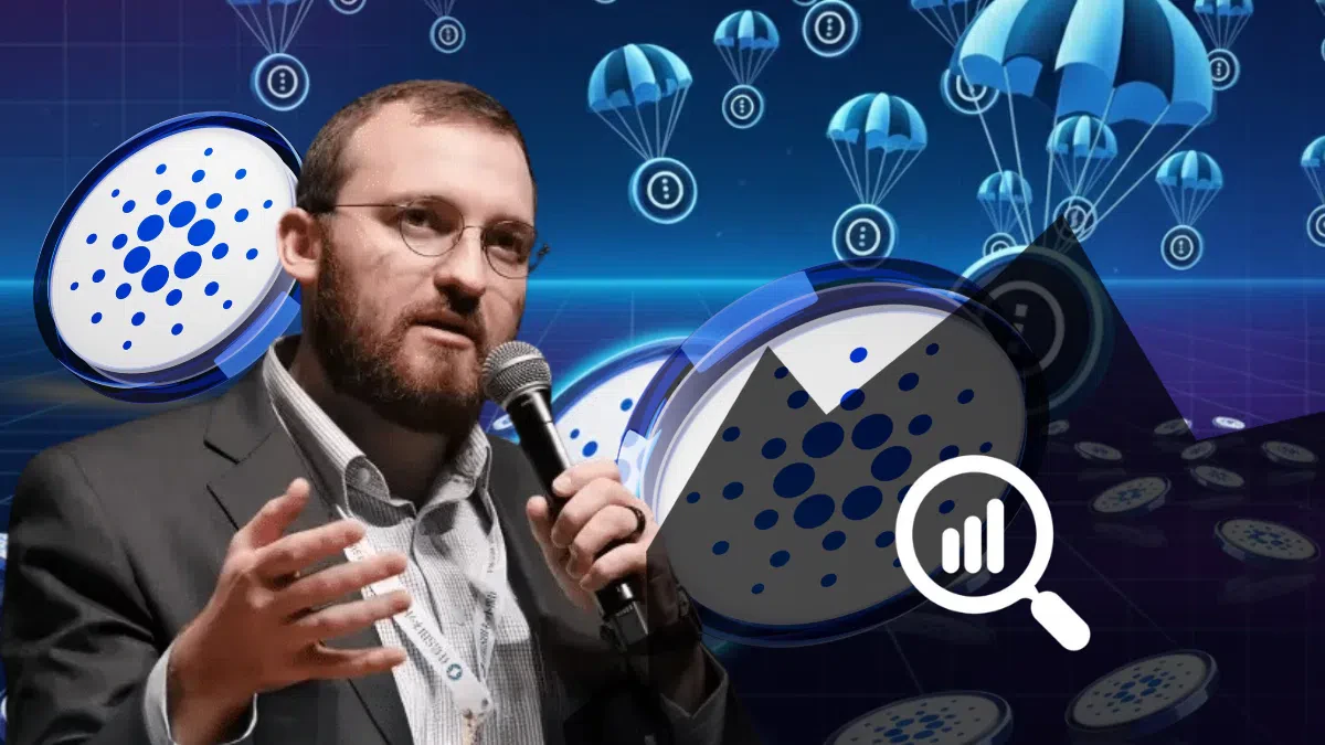 ADA face au jeton NIGHT