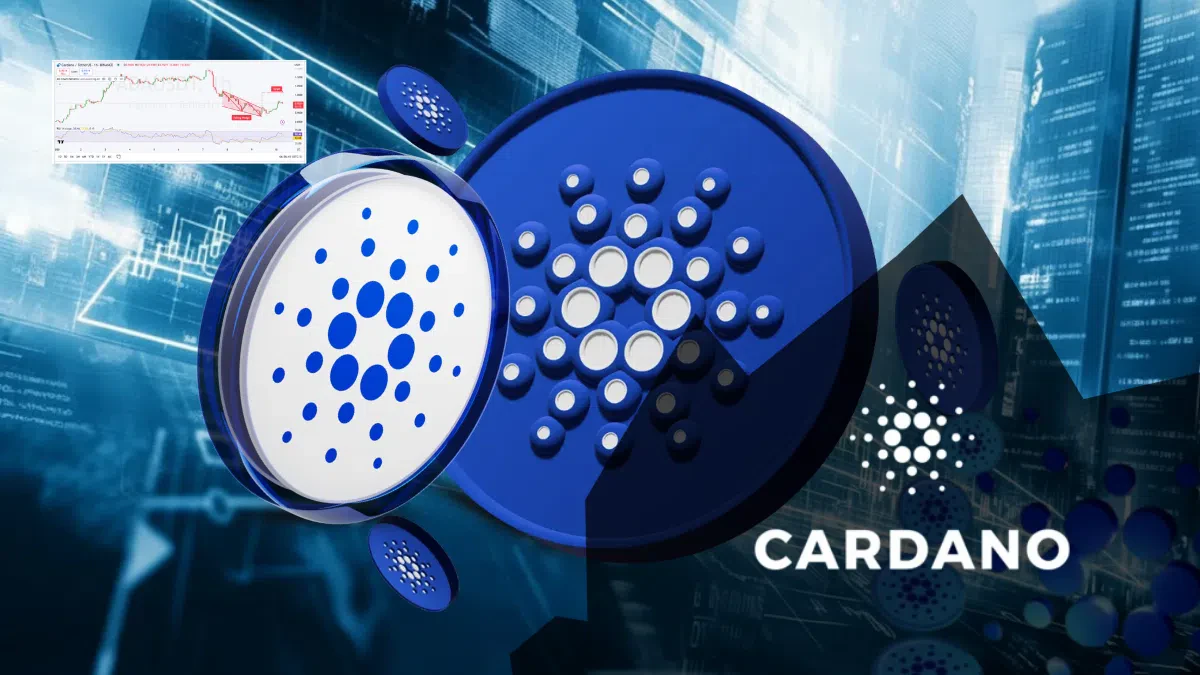 Cardano : une structure haussière se confirme